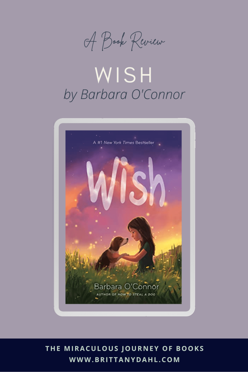 book report on wish by barbara o'connor