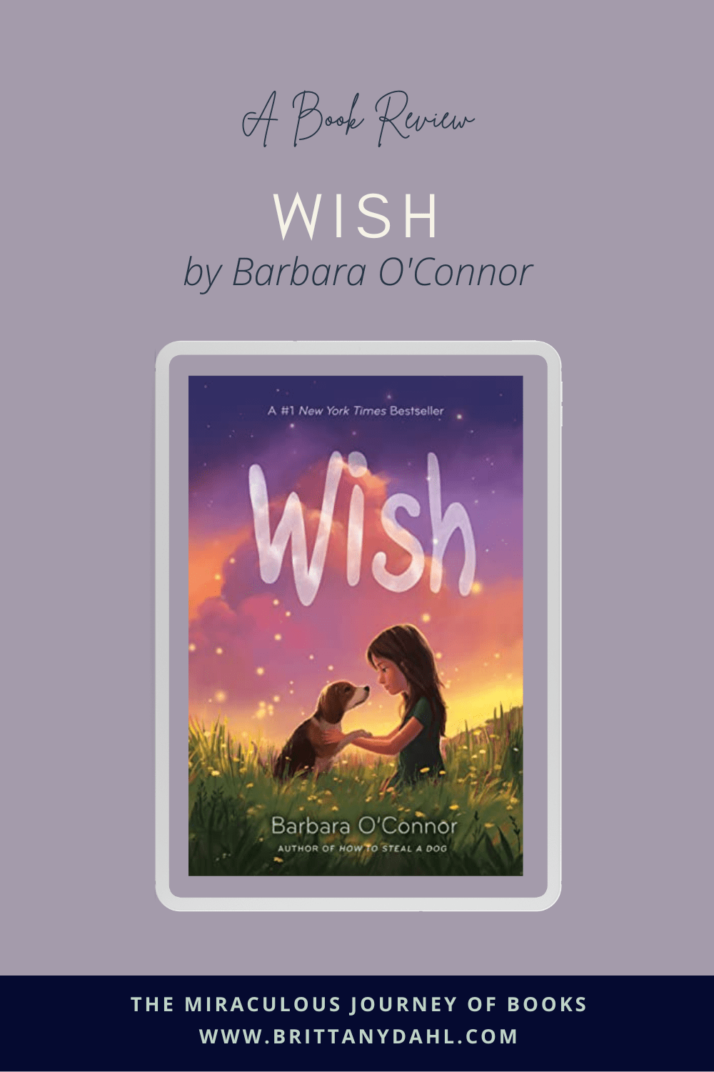 A Book Review of Wish by Barbara O'Connor from The Miraculous Journey of Books at BrittanyDahl.com