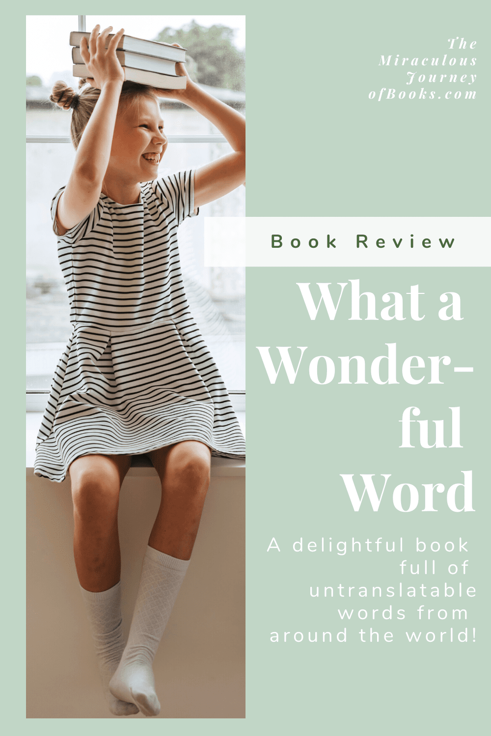 What A Wonderful Word Book Review