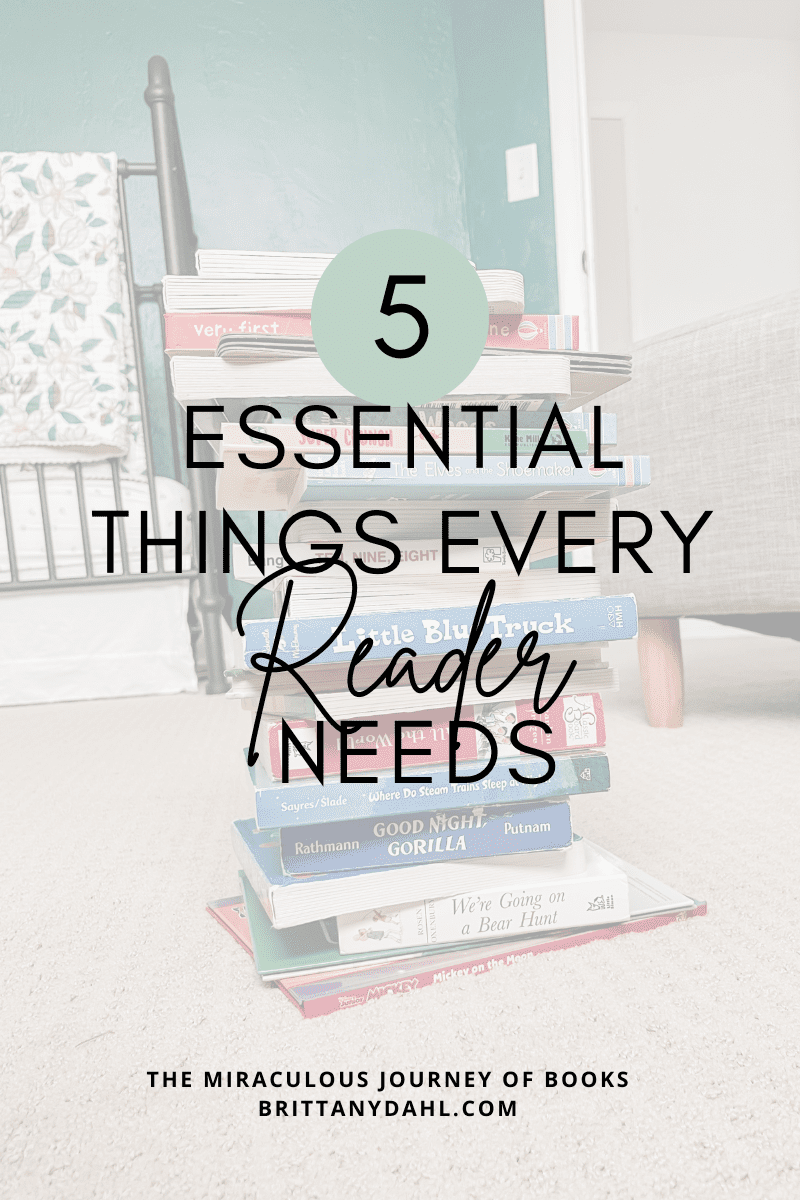 5 Essential Home Items for a Comfortable Living Space